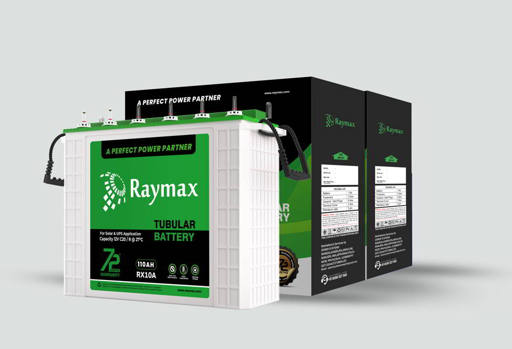 Raymax Tubular Battery 01